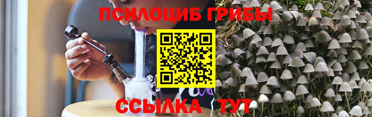 Лесосибирск  Галлюциногенные грибы MAGIC MUSHROOMS  Вход с VPN  как найти закладки  Галлюциногенные грибы мицелий 