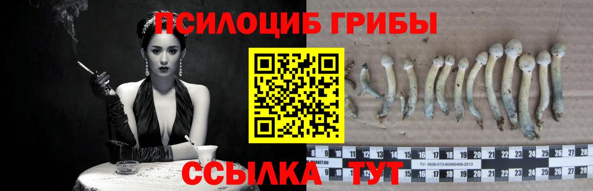 Псилоцибиновые грибы прущие грибы Лесосибирск